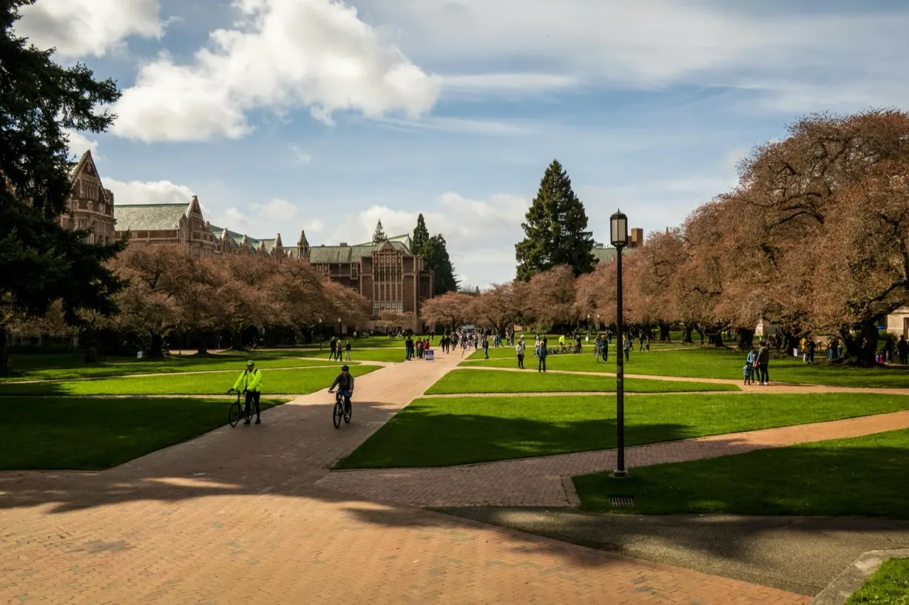 A college campus quad with walkways, spring trees, and Gothic-style buildings